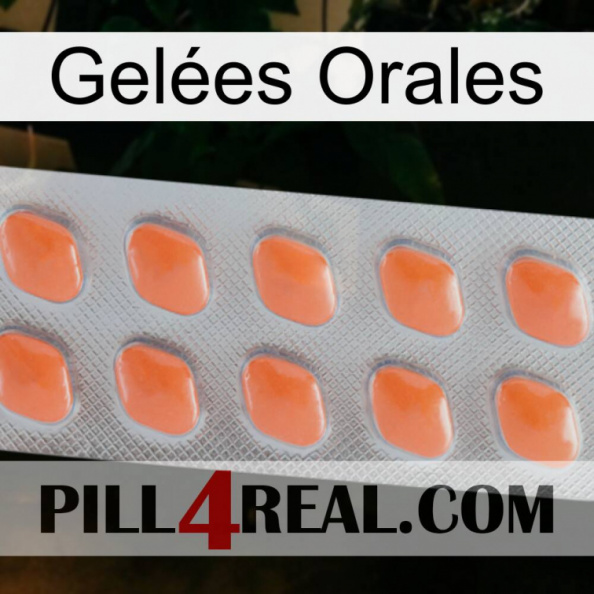 Gelées Orales 26